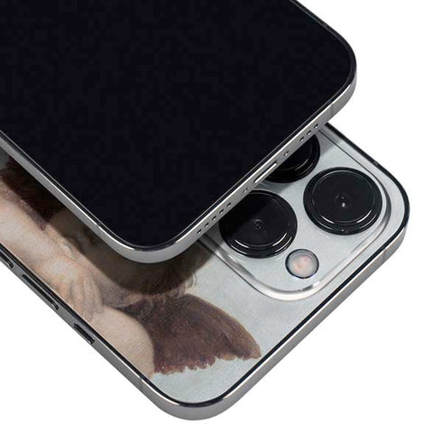 Putti by Raphael iPhone 16 Pro Skin